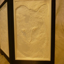 Charger l'image dans la galerie, Veilleuse décorative