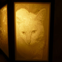 Charger l'image dans la galerie, Veilleuse décorative