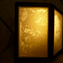 Charger l'image dans la galerie, Veilleuse décorative