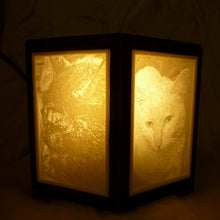 Charger l'image dans la galerie, Veilleuse décorative